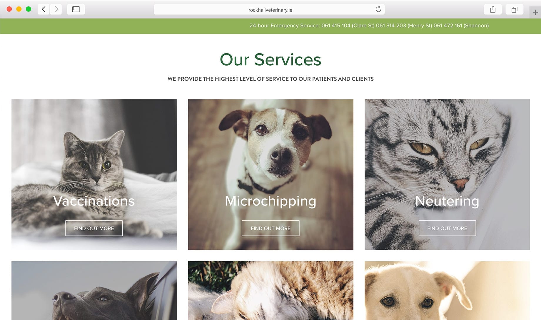 Web Developer for Rockhall Vets