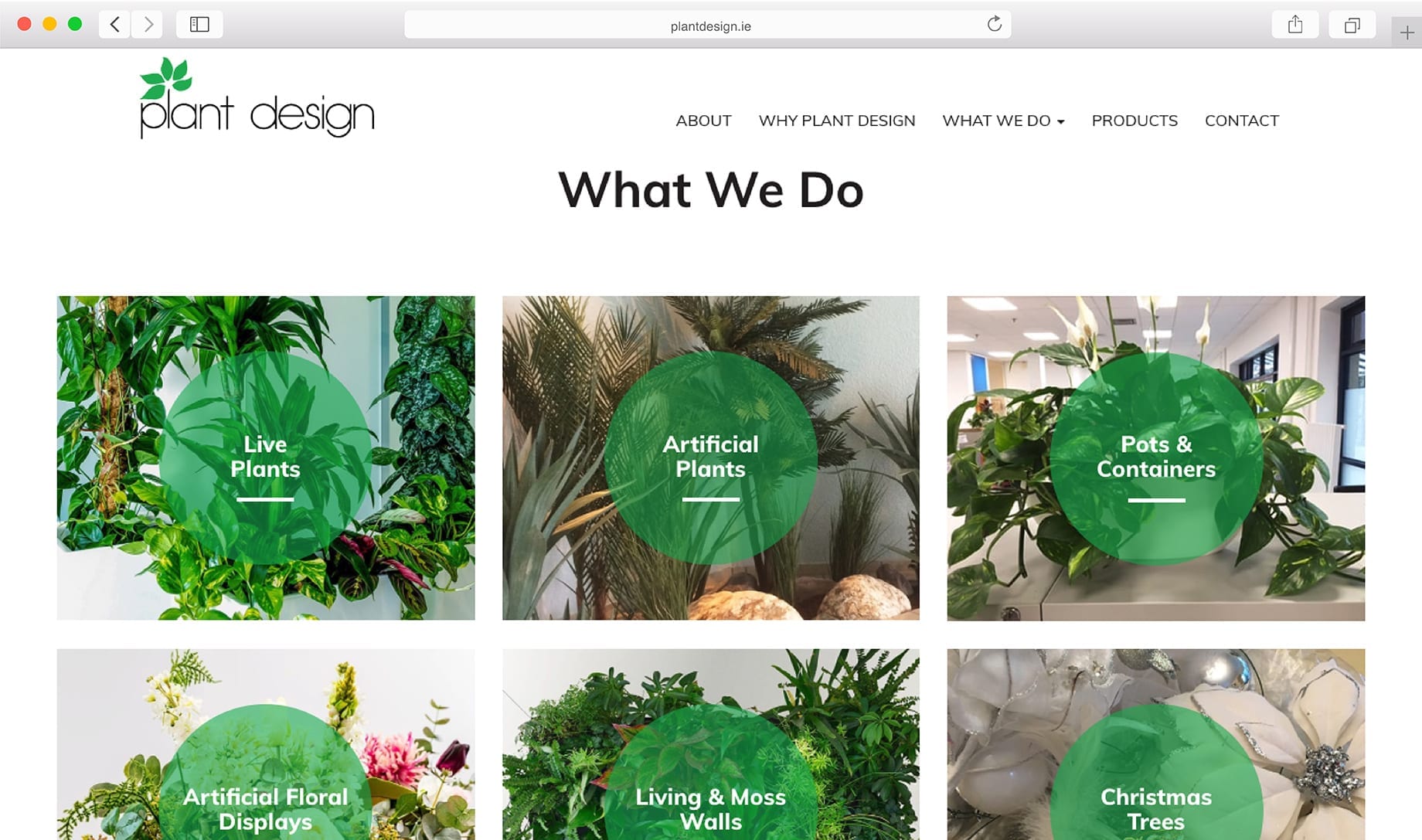 What we do catalog preview