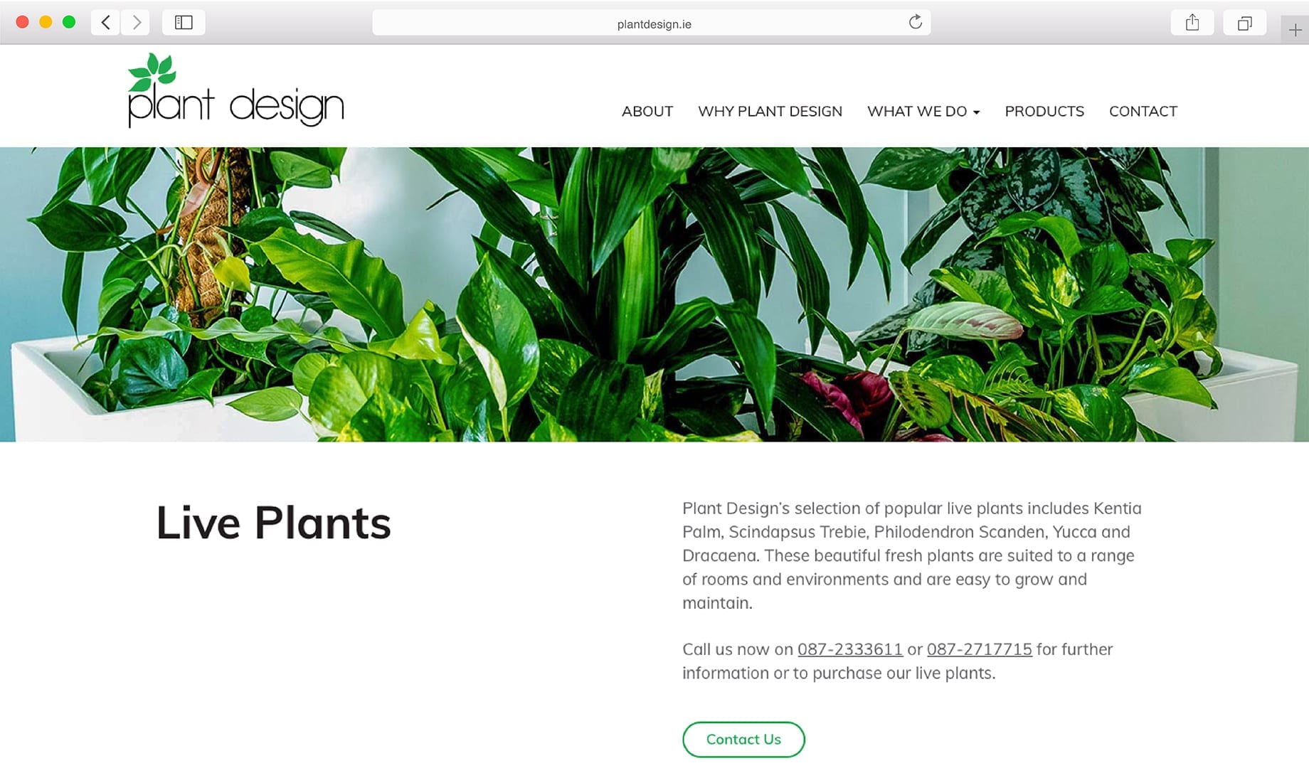 Ecommerce website design options